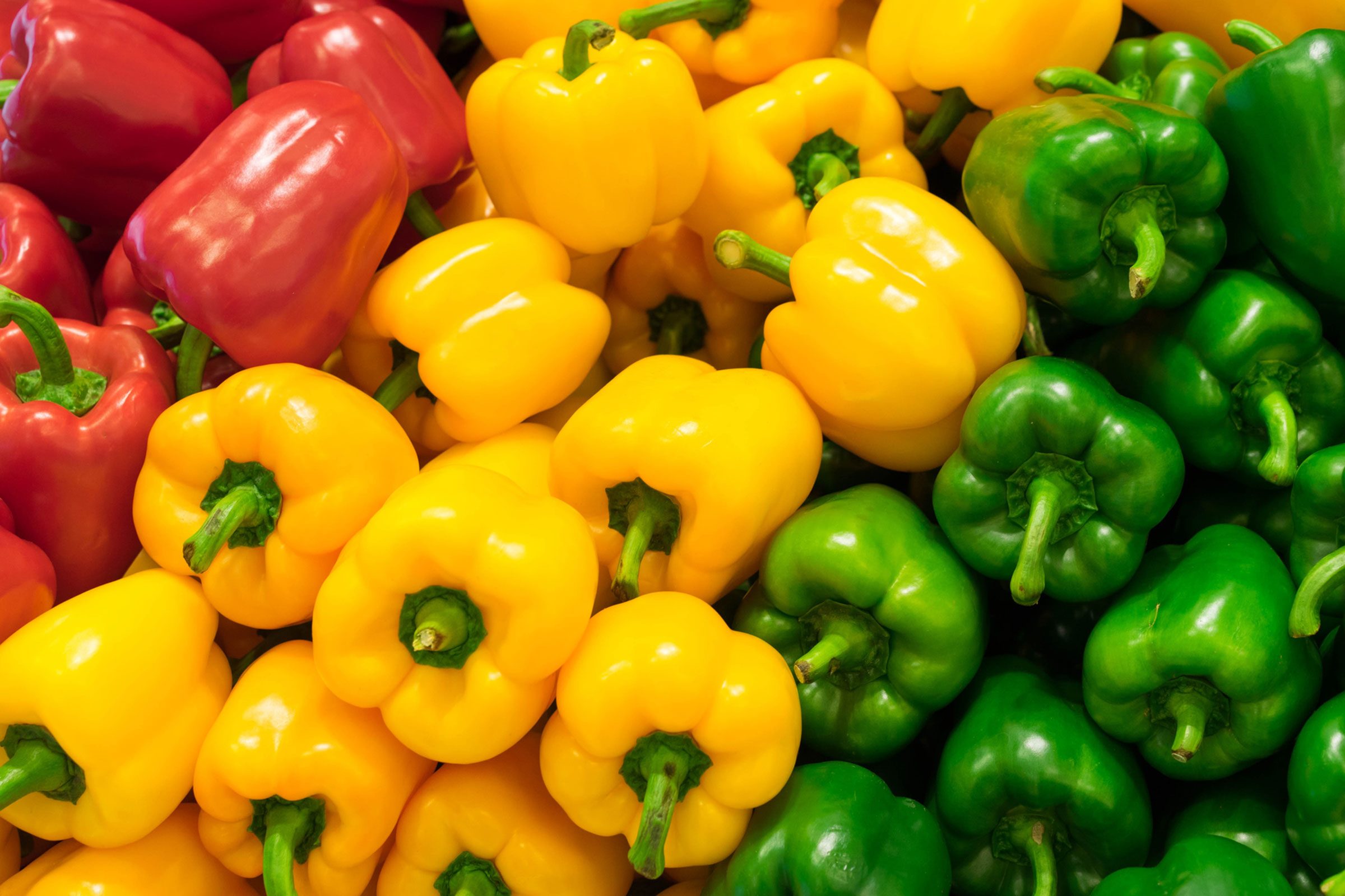 red, yellow, and green bell peppers