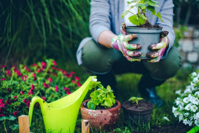 gardening