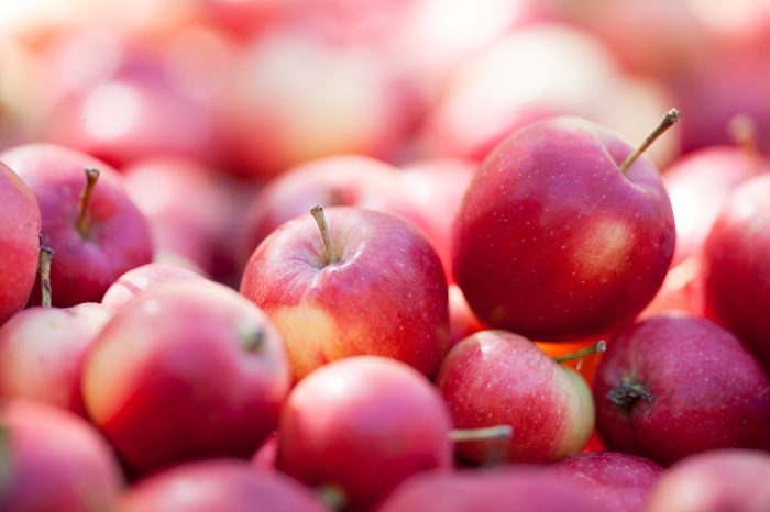 Fresh organic red apples in orchard