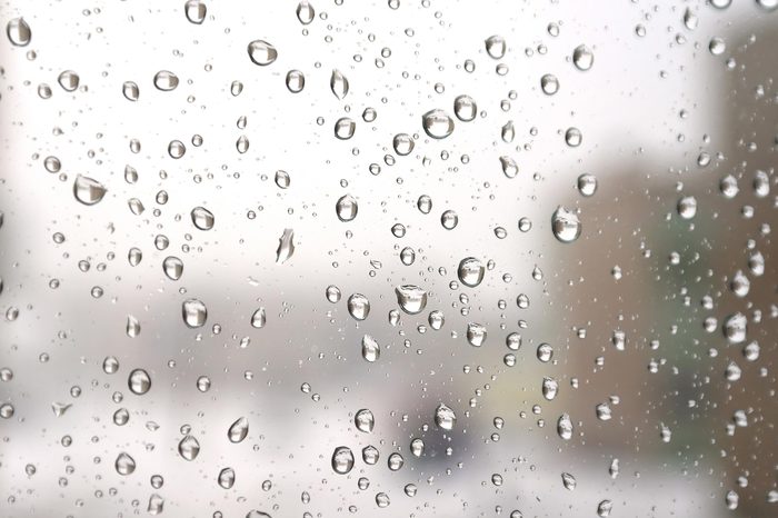 rain drops on a window