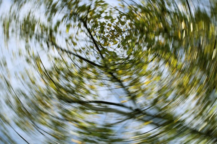 dizzy view of trees sky