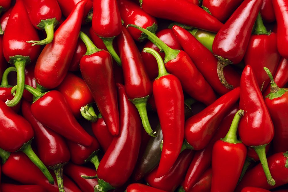 Heap Of Ripe Big Red Peppers