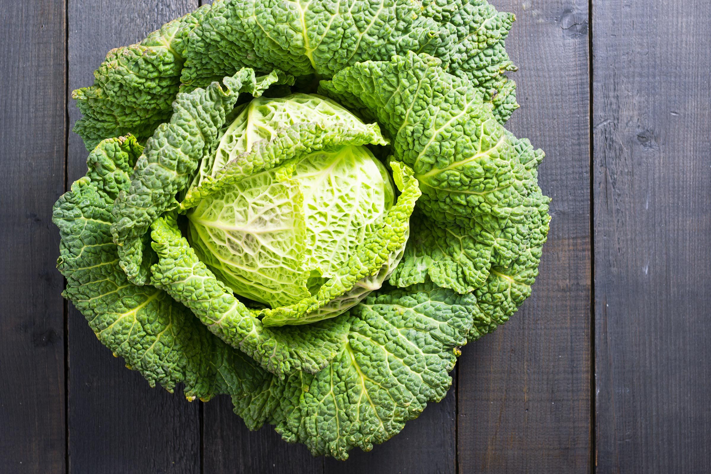 cabbage lettuce overhead leaves