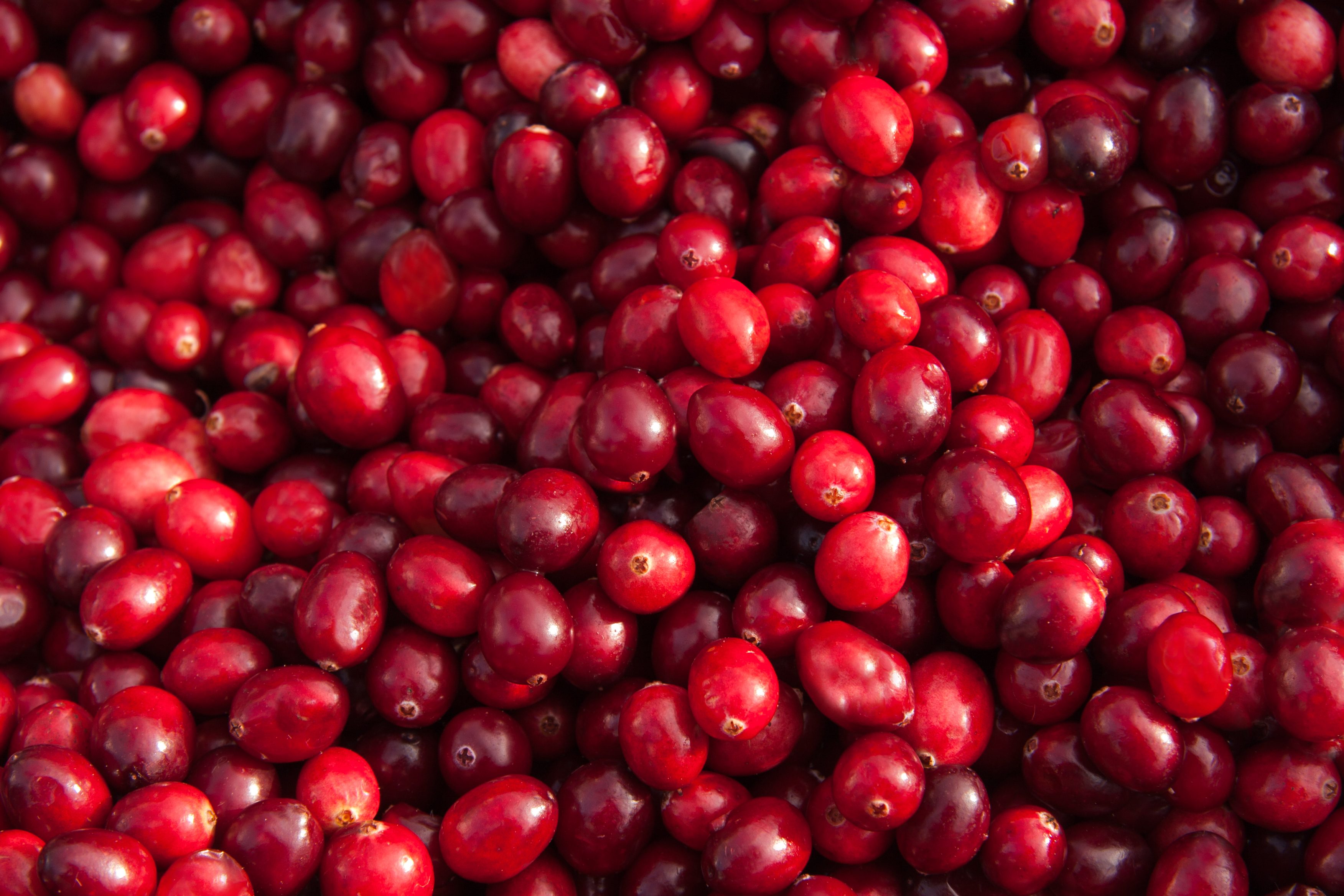 cranberries