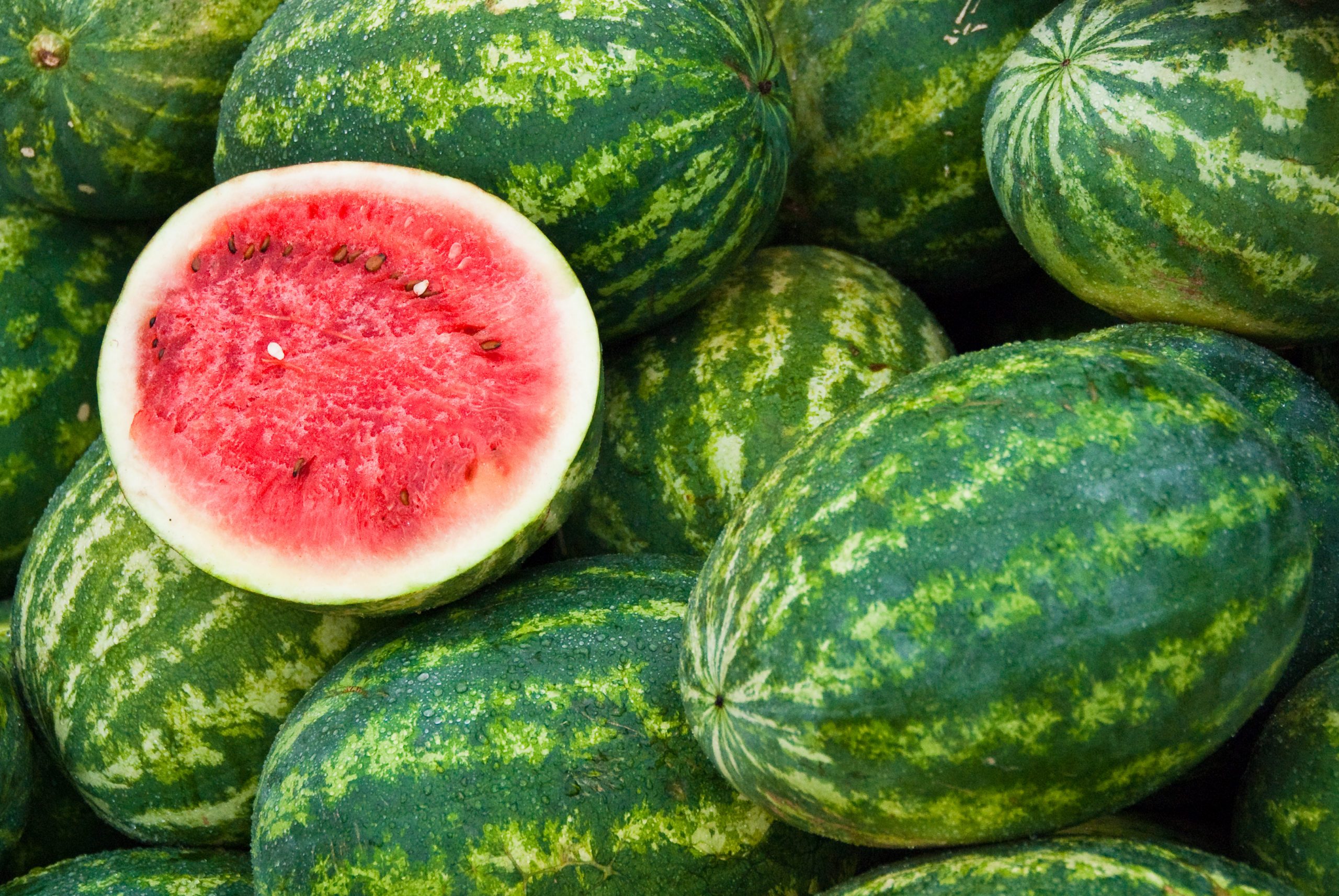 watermelon