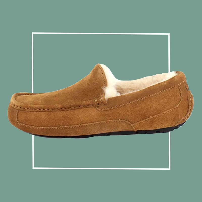 men's UGG slipper