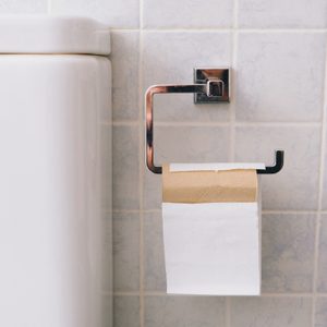 close up of toilet paper roll next to toilet