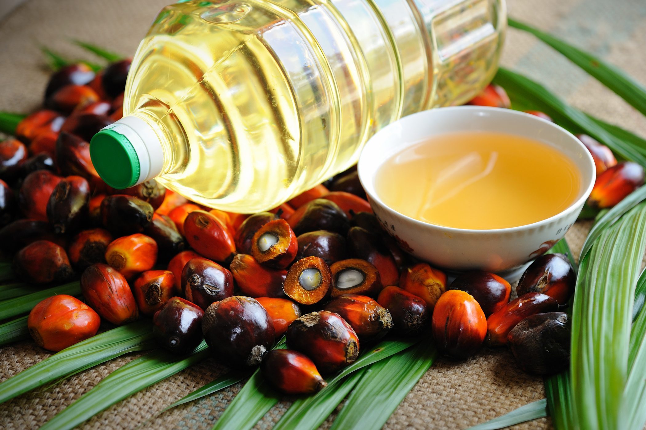 Oil palm fruits with cooking oil