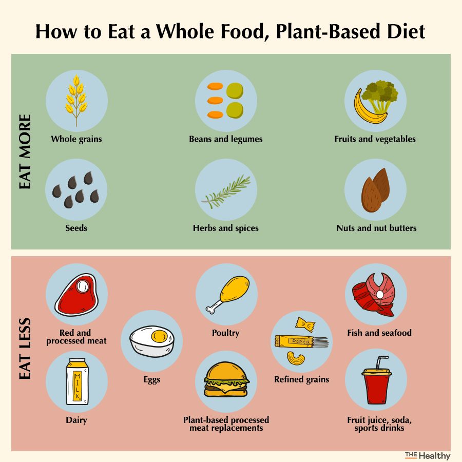 Plant Based Diet Infographic 2