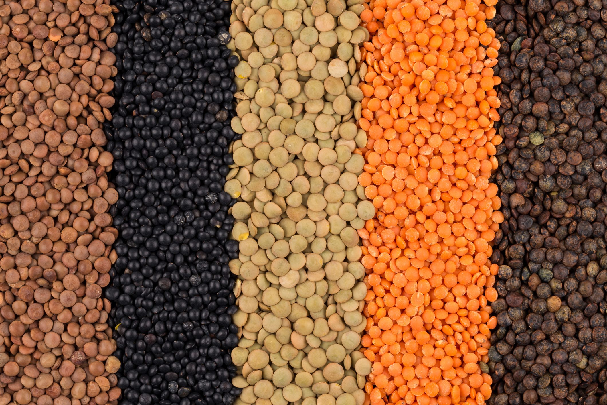 various legumes lentils