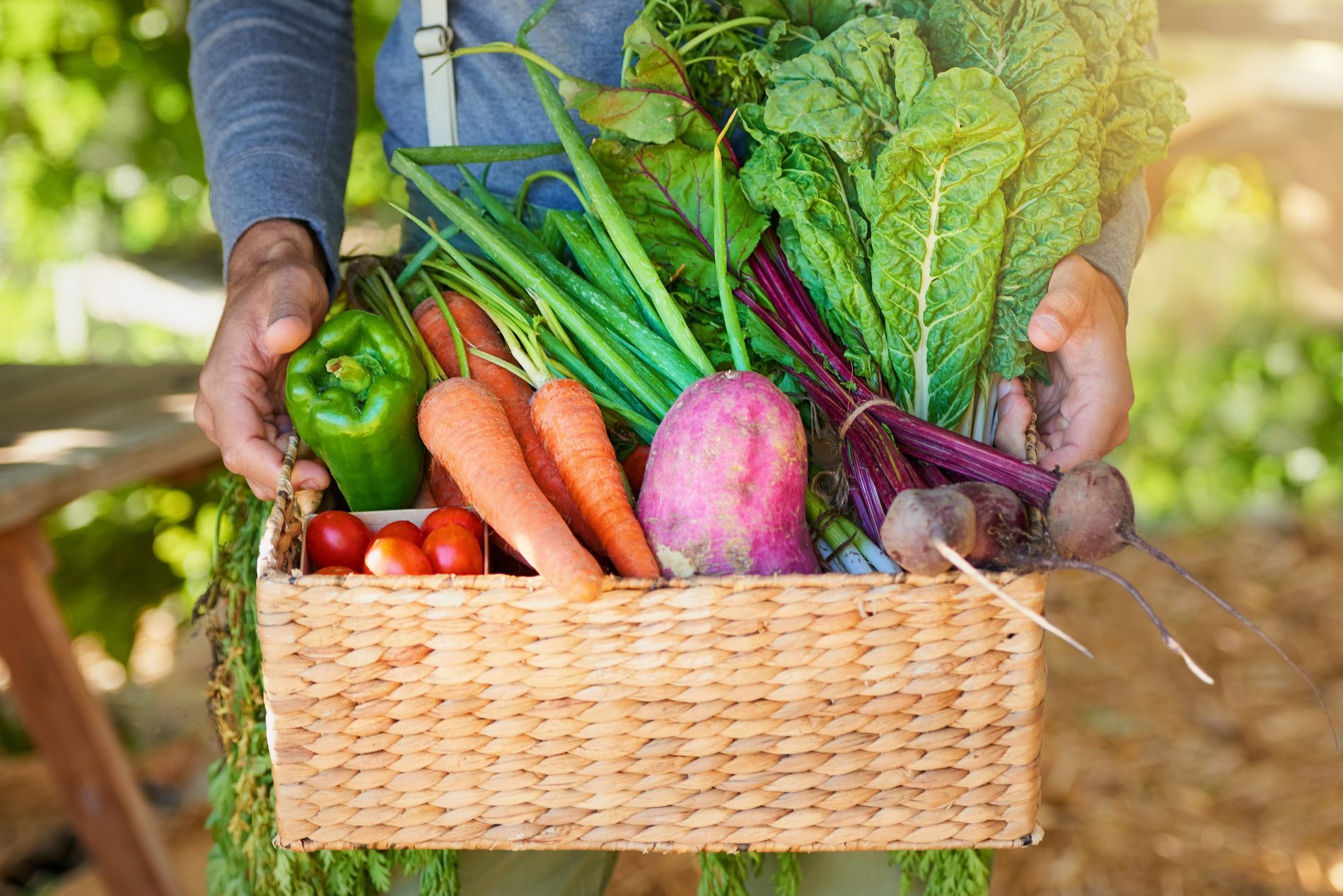 man carrying a basket of fresh vegetables from the garden