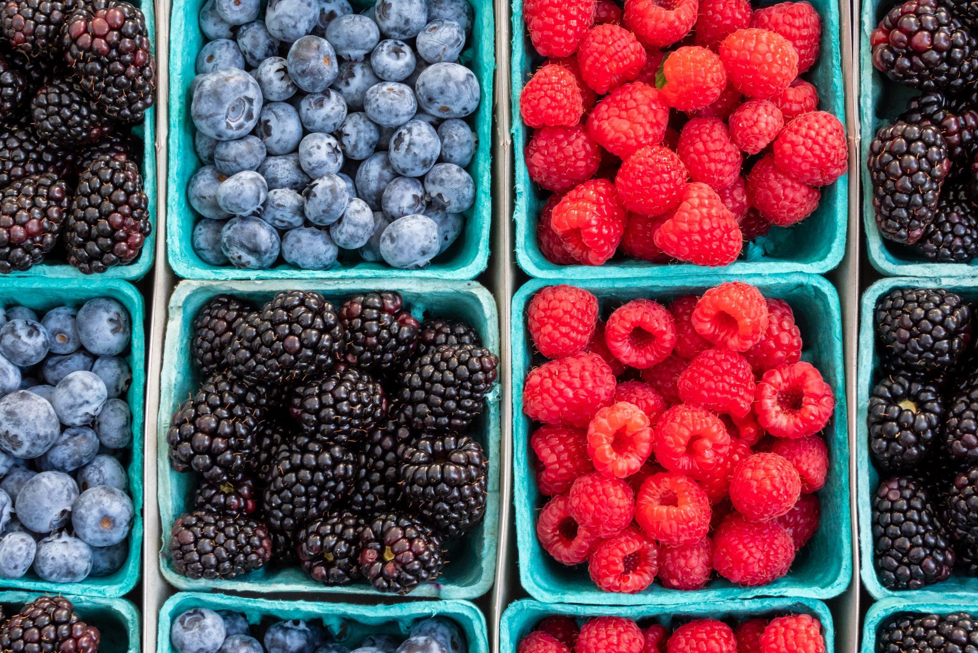 Baskets of Blackberries, Raspberries and Blueberries