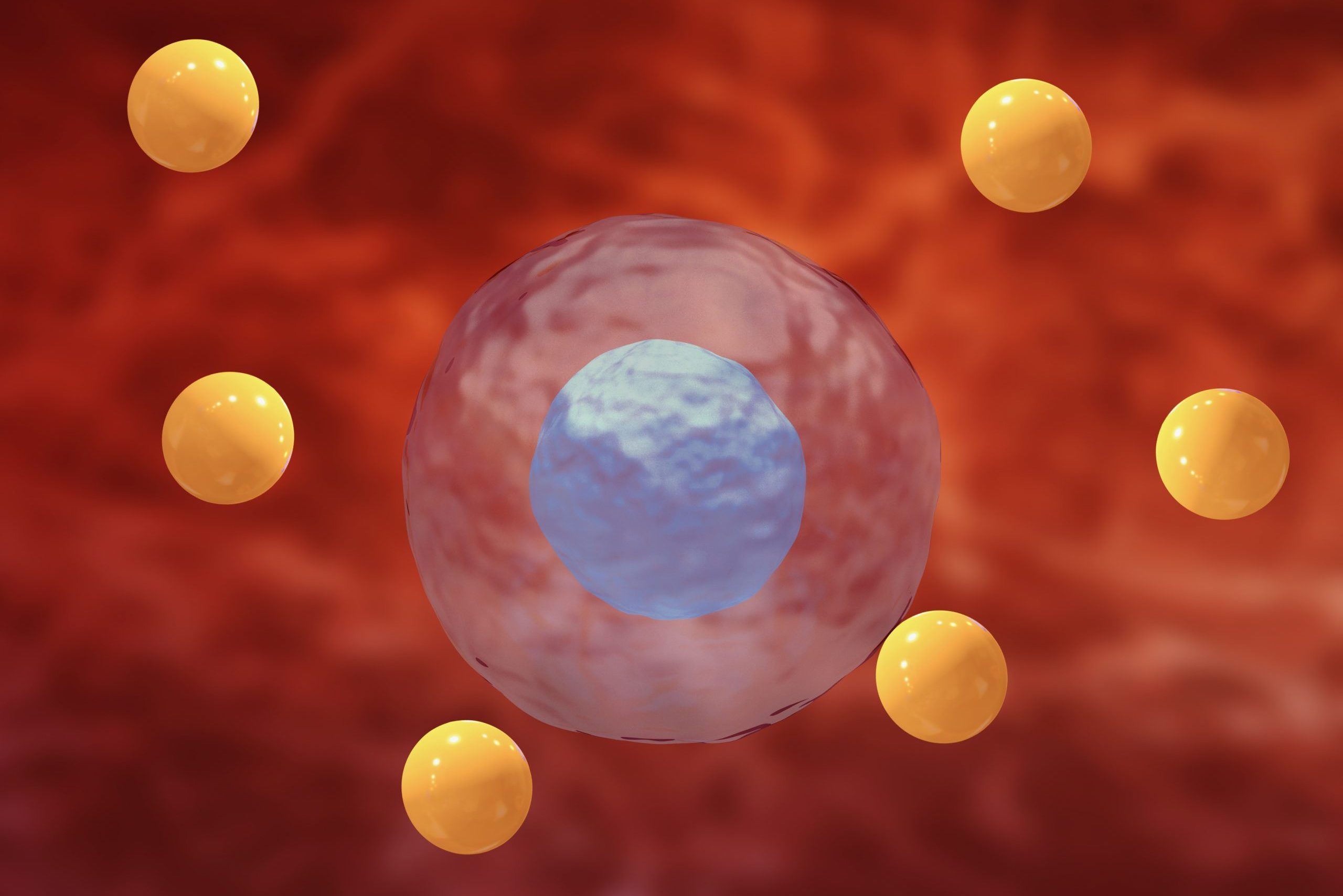 Oxidative stress is the deformation and degeneration of cells caused by the attack by free radicals.