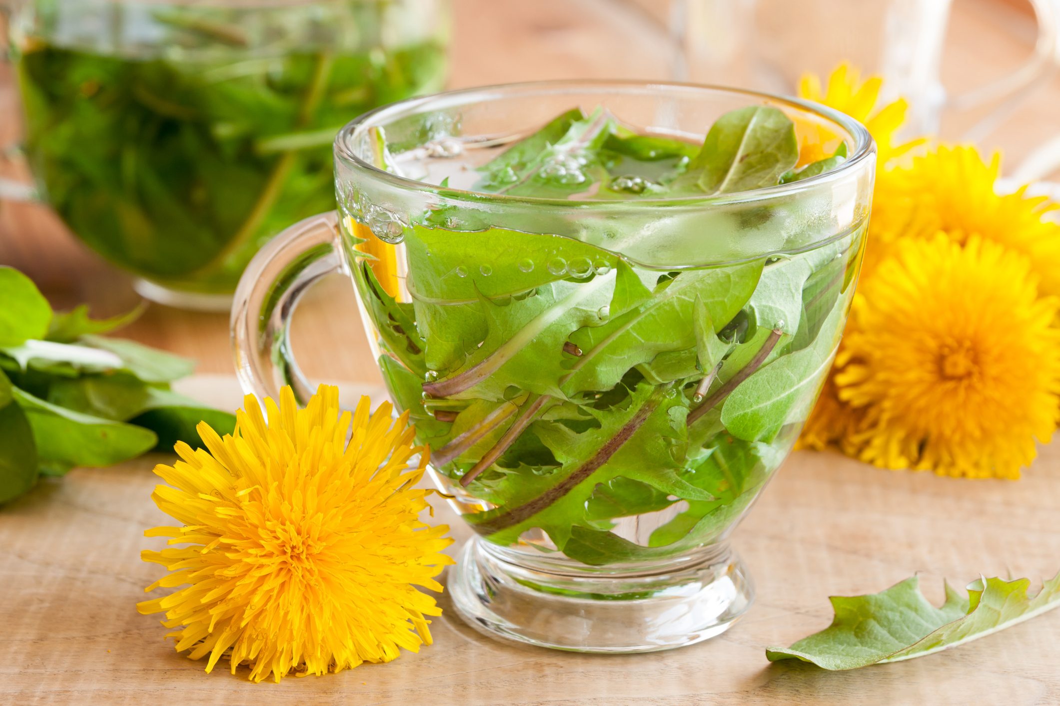 Dandelion tea made from fresh dandelion leaves