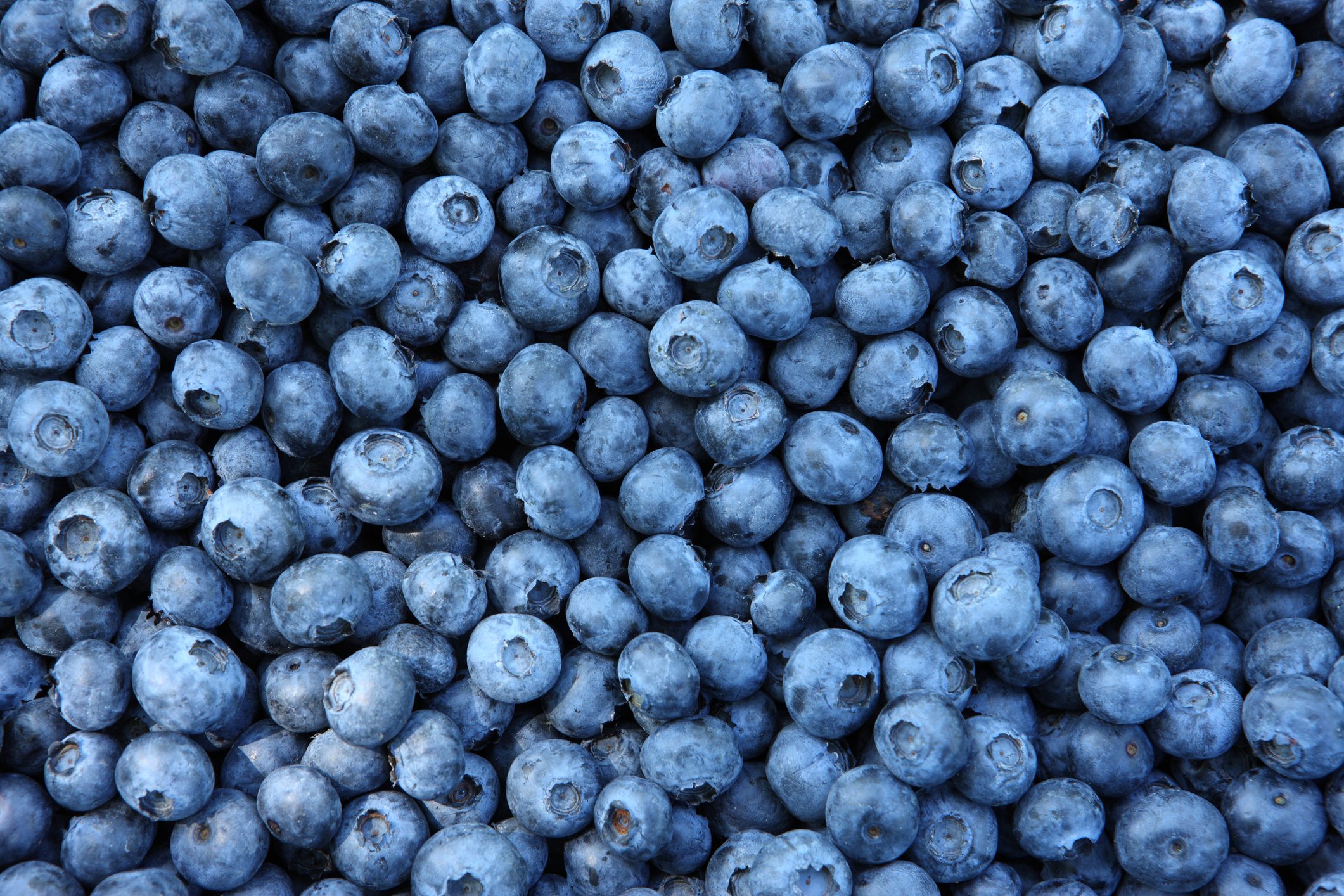 I Ate Blueberries Every Day for a Week—Here’s What Happened