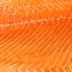 Salmon Sold in 15 States Has Just Been Recalled