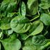 11 Benefits of Spinach That Will Convince You to Eat More Leafy Greens